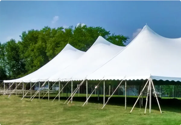 40×160 Festival pole tent